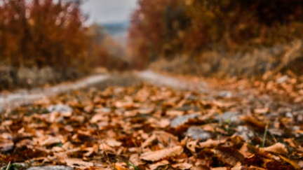 Why Fall Can Trigger Seasonal Anxiety