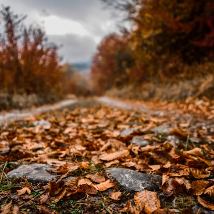 Why Fall Can Trigger Seasonal Anxiety