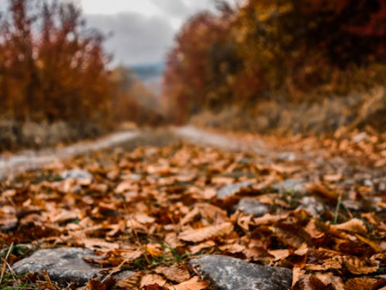 Why Fall Can Trigger Seasonal Anxiety