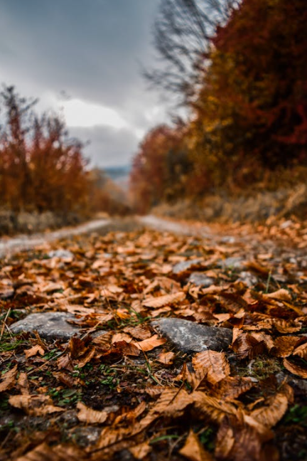 Why Fall Can Trigger Seasonal Anxiety