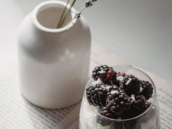 SIBO-Friendly Berry Smoothie